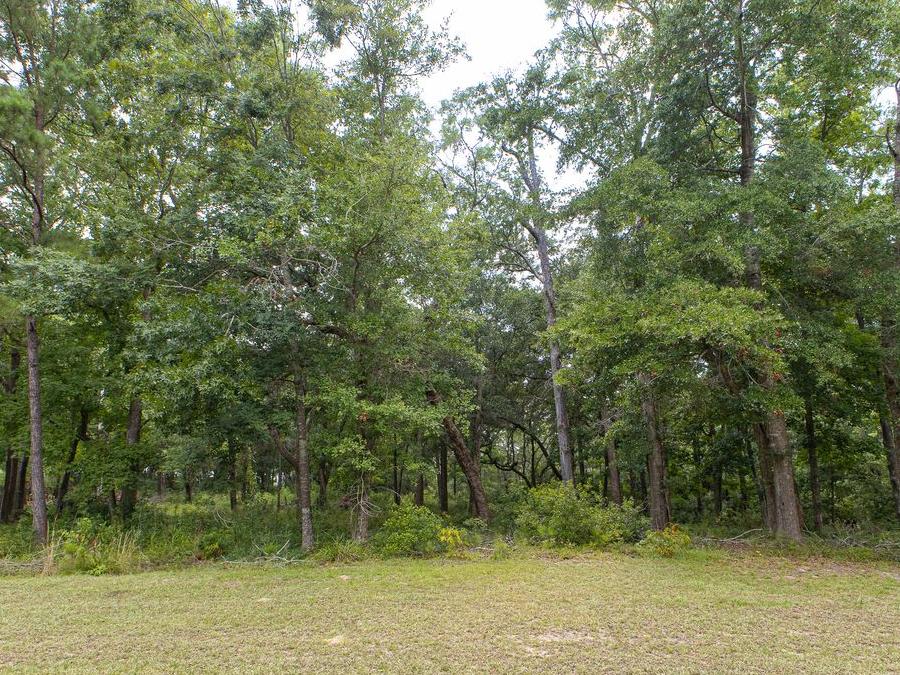 3320 Regal Isle (Lot available for custom build)